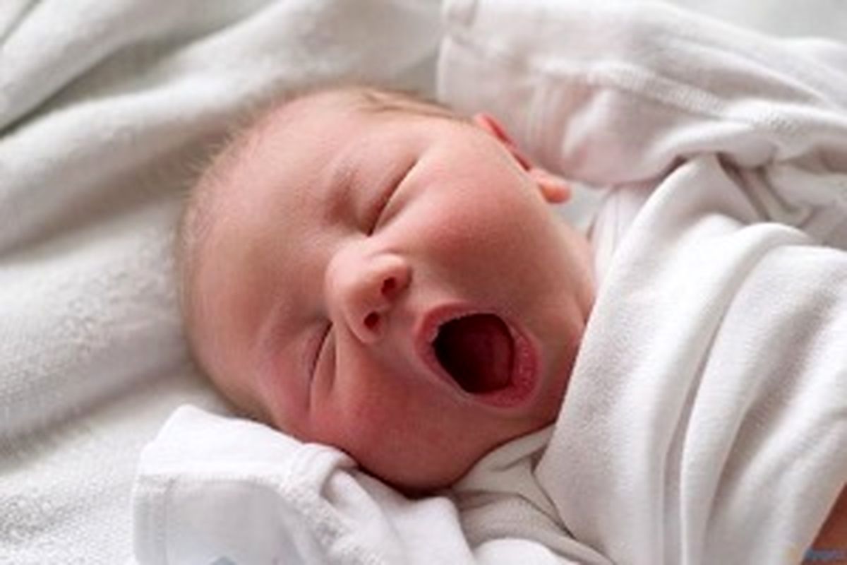باکتری‌هایی که احتمال ابتلای کودکان به چاقی را پیش‌بینی می‌کنند