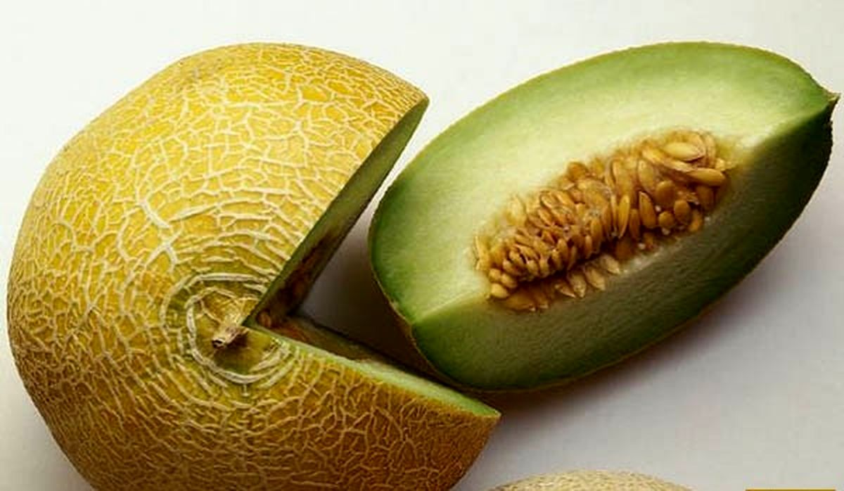 تامین سلامتی پوست و مو ، کلیه با خوردن خربزه