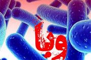  ماجرای توت فرنگی‌های آلوده به «وبا» 