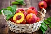 فرآیند رسیدن شلیل به پایتخت+ جزئیات