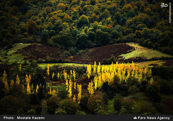 wl7tMLrMLVRy
