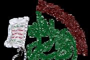 انصارالله تصاویر پنج اسیر سعودی را منتشر کرد