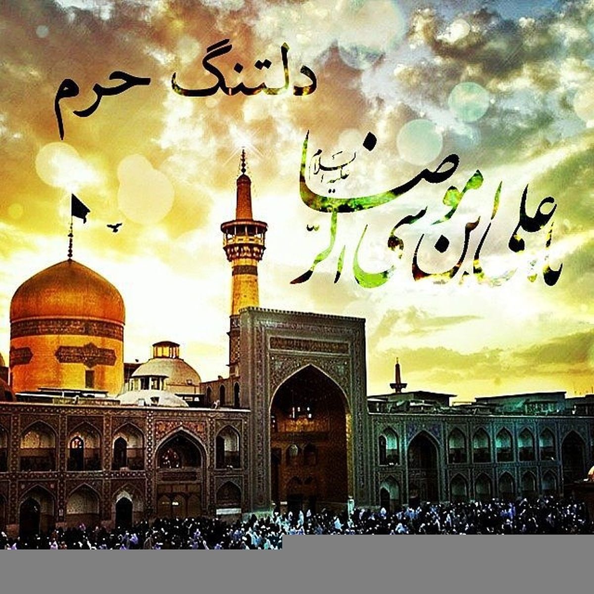 بسته شعری درباره شهادت امام رضا (ع)