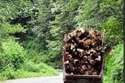 ۷۰ درصد بازار چوب ایران، وارداتی است