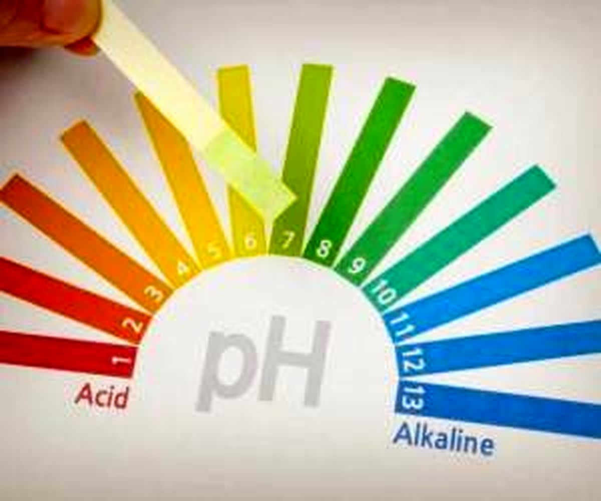 
ph خون چیست و چطور کاهش می‌یاید + نسخه گیاهی