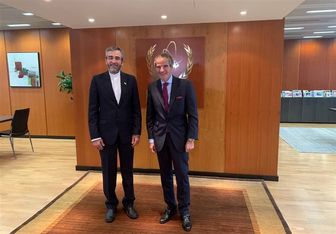 دیدار علی باقری و مدیرکل آژانس بین‌المللی انرژی اتمی 