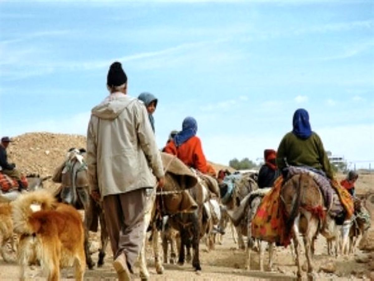 آغاز کوچ بهاره عشایر استان از اواخر فروردین ماه