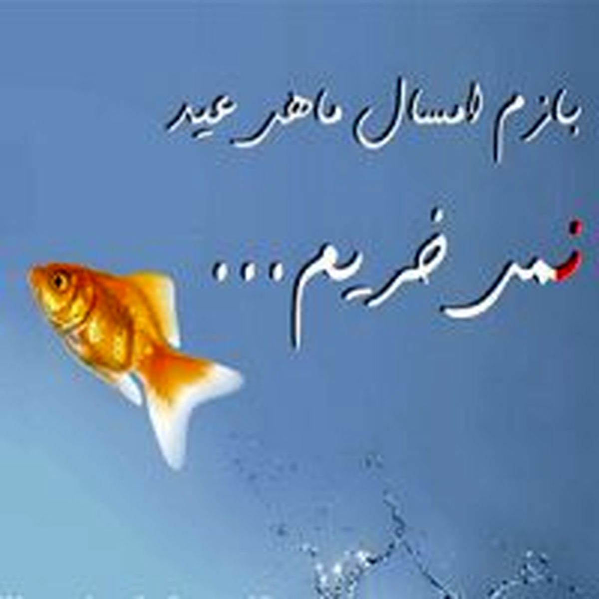 امسال ماهی قرمز نخریم