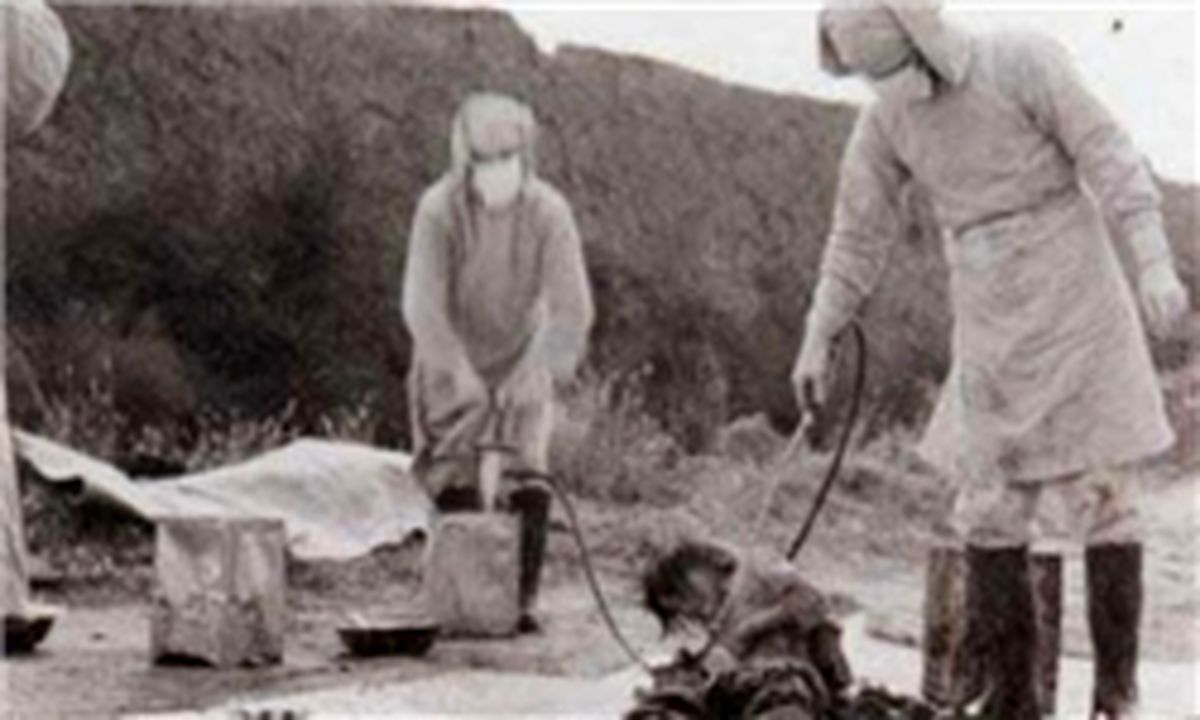 ماجرای کالبد‌شکافی زنده اسرای جنگی!
