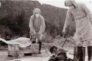 ماجرای کالبد‌شکافی زنده اسرای جنگی!