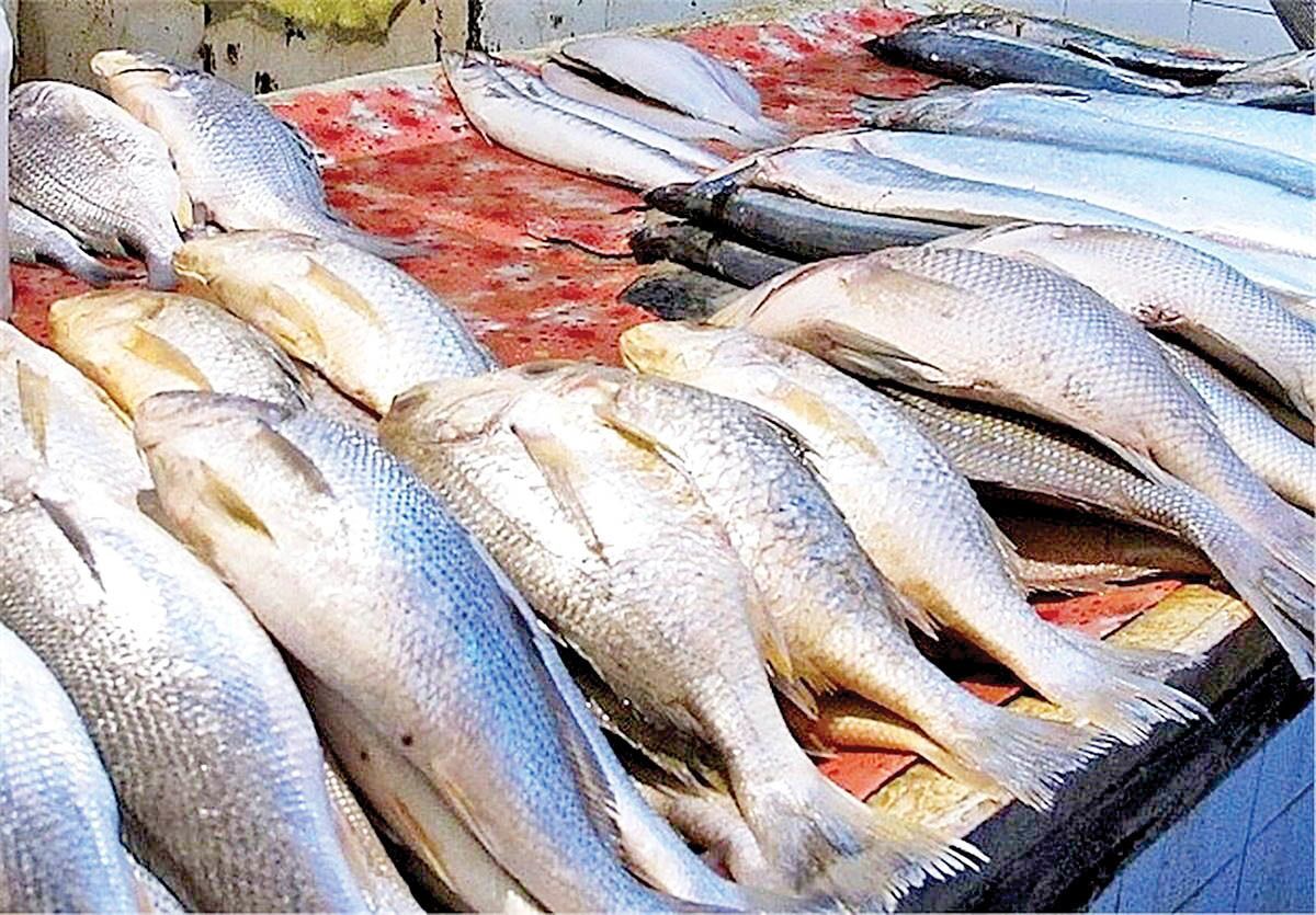 هزینه خرید ماهی در بازار چقدر است؟
