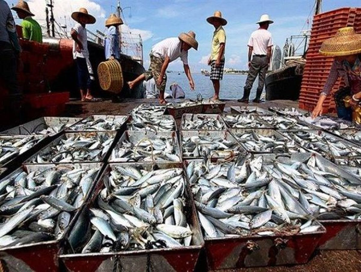 چراغ سبز به صید خارج از قرارداد چینی‌ها 