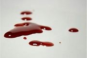 کاهش ۴.۸ درصدی پرونده‌های نزاع در استان کهگیلویه وبویراحمد 