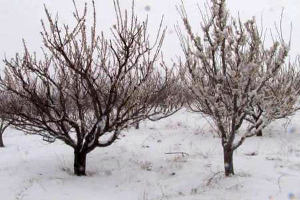 یخبندان در محورهای مواصلاتی هوراند