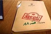 یک محکوم فتنه ۸۸ مهمان شورای شهر تهران شد