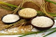 تیشه به ریشه تولیدکنندگان برنج داخلی با واردات برنج
