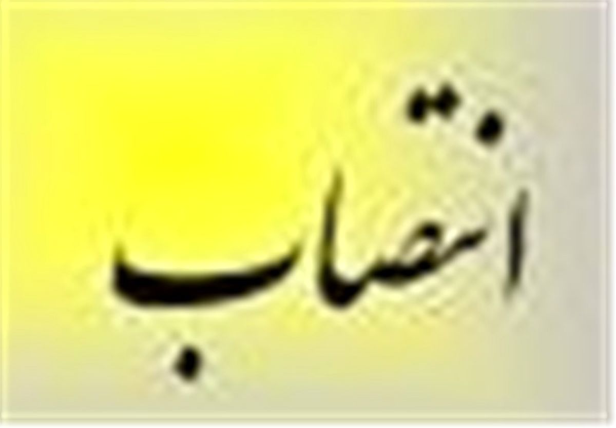 مدیرعامل سازمان ملی زمین و مسکن منصوب شد