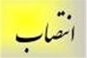 مدیرعامل سازمان ملی زمین و مسکن منصوب شد